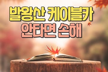 발왕산 관광 케이블카