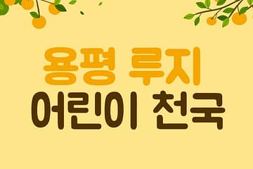 용평리조트 루지