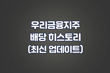 우리금융지주 배당 히스토리